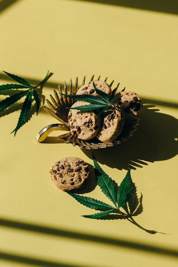 Les edibles au chanvre : une expérience gustative relaxante !